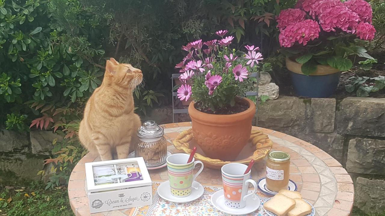 B&B Fontanella Curno エクステリア 写真