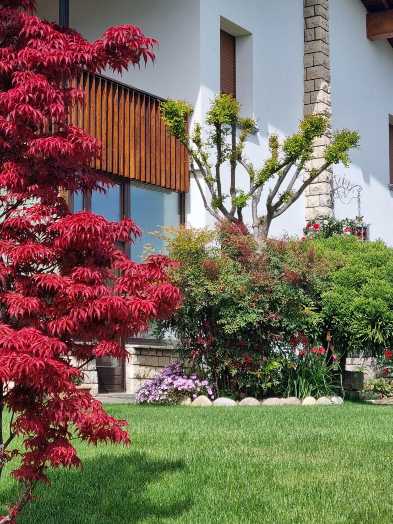 B&B Fontanella Curno エクステリア 写真