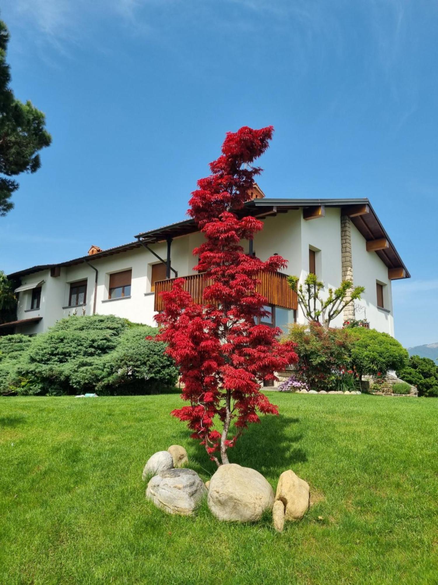 B&B Fontanella Curno エクステリア 写真